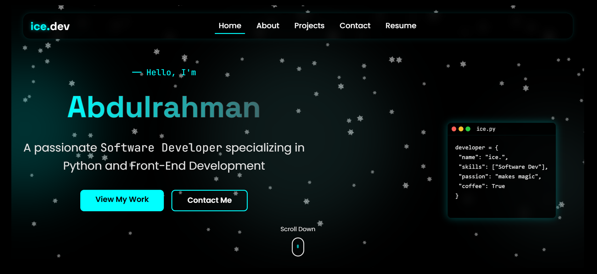 Portfolio Website